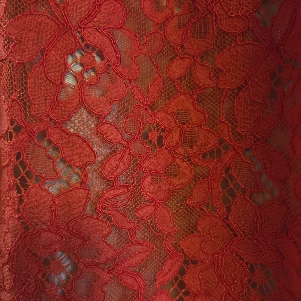 SHOSHANNA Sierra Red Lace Mini Dress Size 4 - Picture 3 of 7